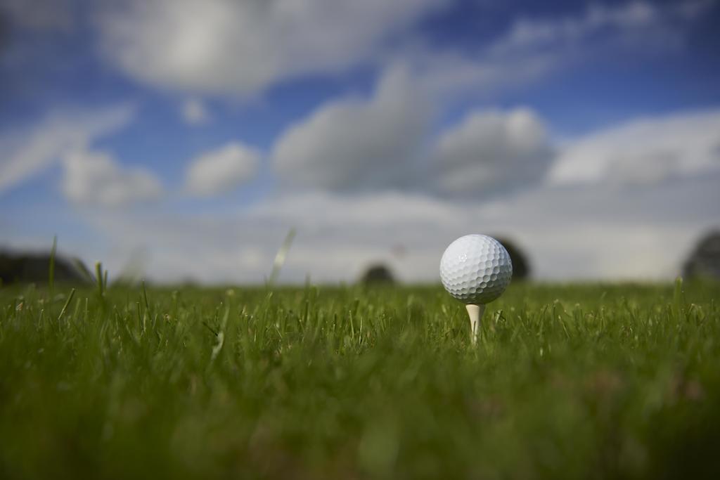 Chateau Du Bois-Guy Golf Parigné Exteriér fotografie