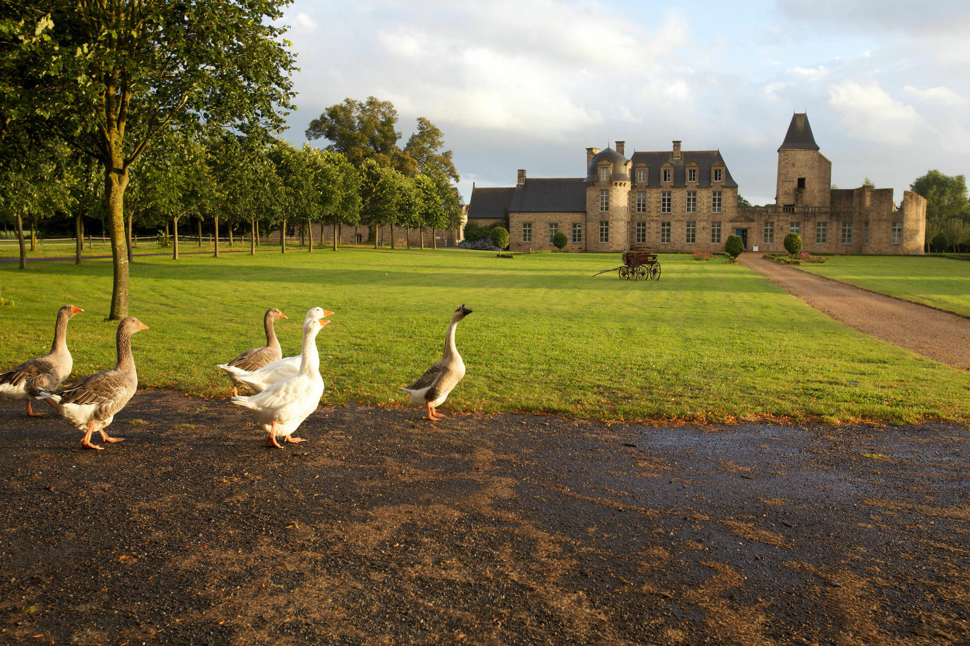 Chateau Du Bois-Guy Golf Parigné Exteriér fotografie